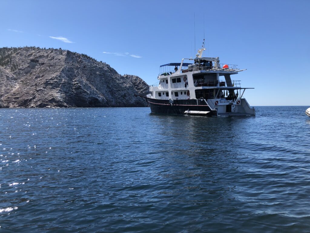 Rocio del Mar off Isla San Pedro de Martir